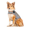 Thunder Shirt Sport