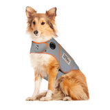 Thunder Shirt Sport