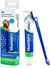 Bluestem Toothbrush & Toothpaste Set