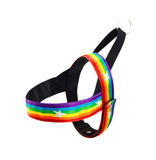 Pride Rainbow Harness